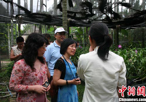 ���⻪��ý��߲�ɷÿ������ƴ�