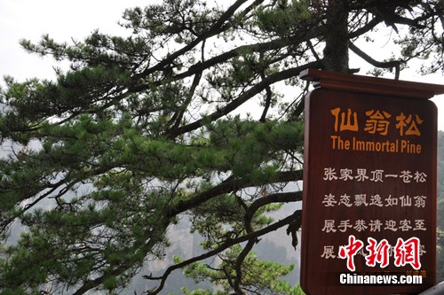 �żҽ������¾���79��Ӣ������Ϊ������