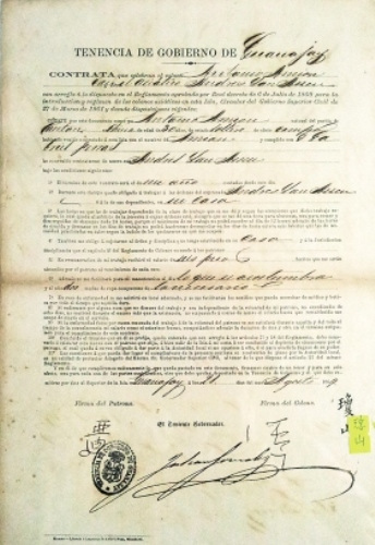 �����͹���Լֽϸ������������������