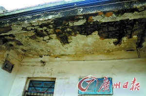 �㶫�ɿڻ���ũ��2015��ǰ��ȫ�����Σ������