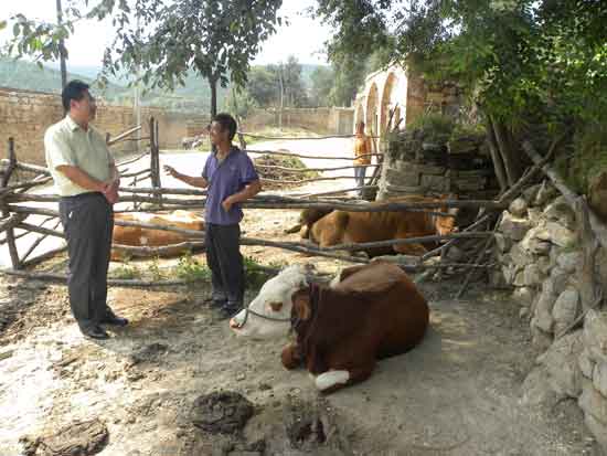 ɽ��ʡ�����ɲ�ʵ���߷õ�������ƶ�������