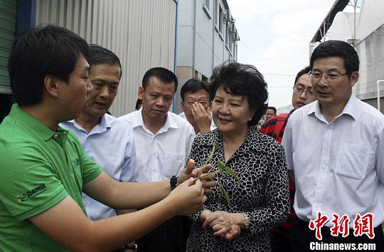 ��Ԯƽ��������ӻ���ũ�����м������滮��չ