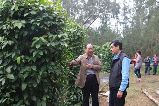 �¹������������񲿸����Ͽ�չ����ũ������